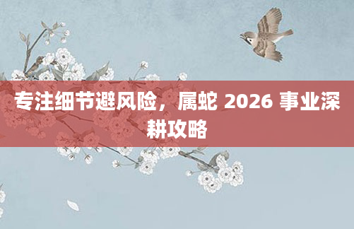 专注细节避风险，属蛇 2026 事业深耕攻略