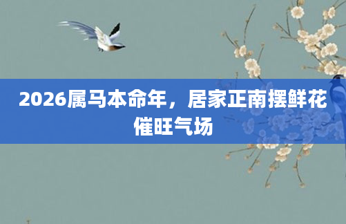 2026属马本命年，居家正南摆鲜花催旺气场