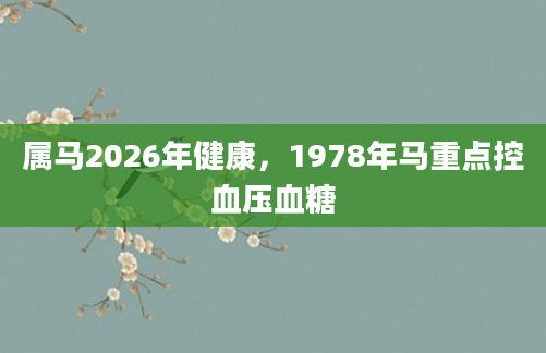 属马2026年健康，1978年马重点控血压血糖