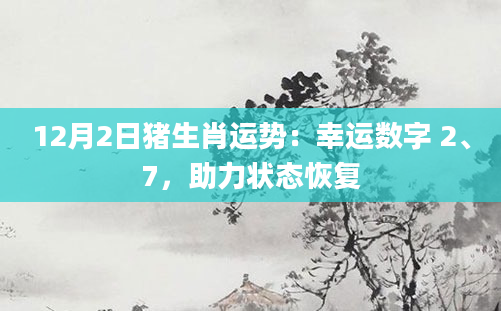 12月2日猪生肖运势：幸运数字 2、7，助力状态恢复