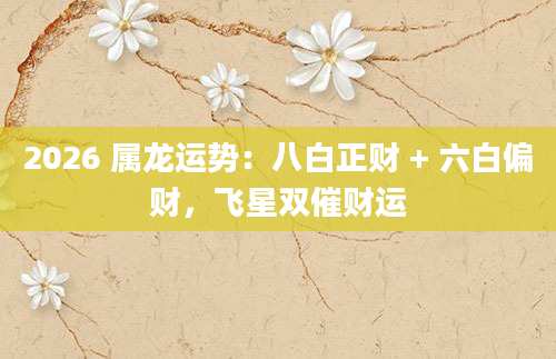 2026 属龙运势：八白正财 + 六白偏财，飞星双催财运