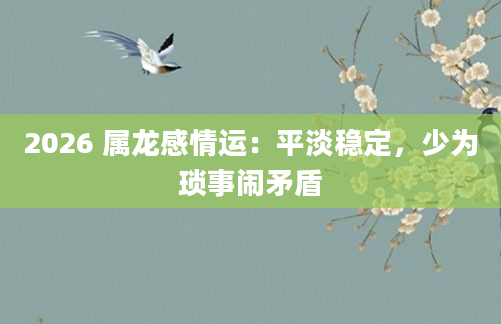 2026 属龙感情运：平淡稳定，少为琐事闹矛盾