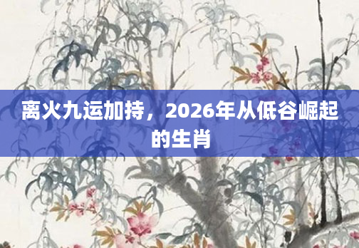 离火九运加持，2026年从低谷崛起的生肖