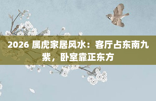 2026 属虎家居风水：客厅占东南九紫，卧室靠正东方