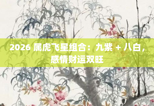 2026 属虎飞星组合：九紫 + 八白，感情财运双旺