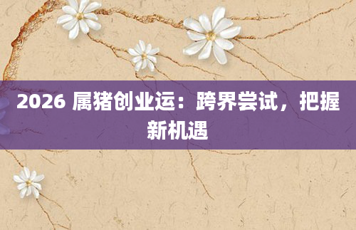 2026 属猪创业运：跨界尝试，把握新机遇