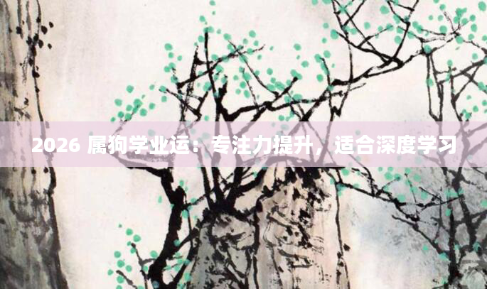 2026 属狗学业运：专注力提升，适合深度学习