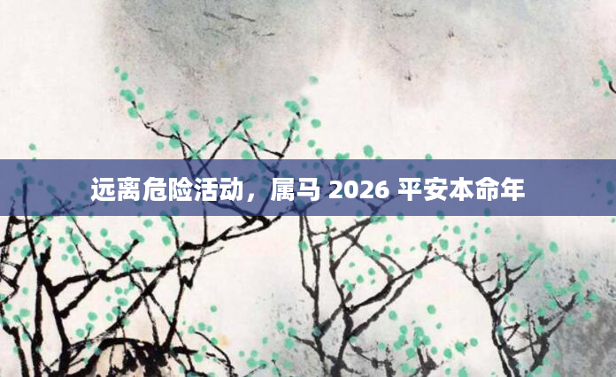 远离危险活动，属马 2026 平安本命年