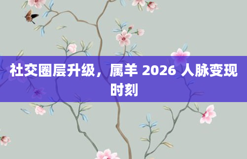 社交圈层升级，属羊 2026 人脉变现时刻