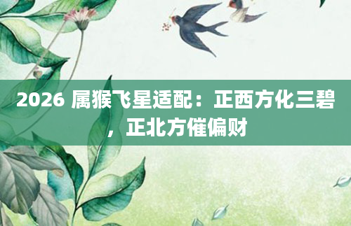 2026 属猴飞星适配：正西方化三碧，正北方催偏财
