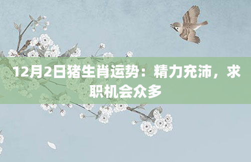 12月2日猪生肖运势：精力充沛，求职机会众多