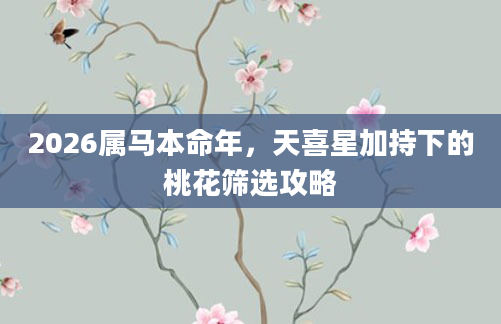 2026属马本命年，天喜星加持下的桃花筛选攻略