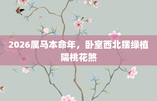 2026属马本命年，卧室西北摆绿植隔桃花煞