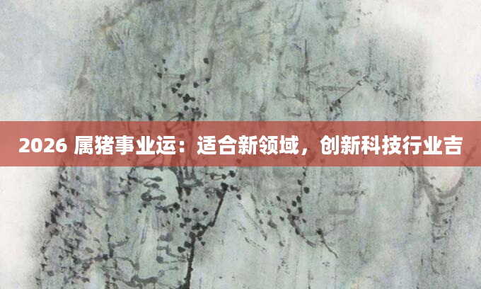 2026 属猪事业运：适合新领域，创新科技行业吉