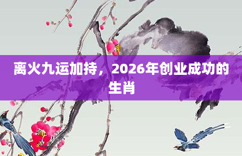 离火九运加持，2026年创业成功的生肖