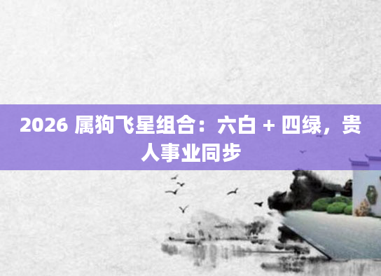 2026 属狗飞星组合：六白 + 四绿，贵人事业同步