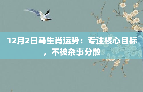 12月2日马生肖运势：专注核心目标，不被杂事分散