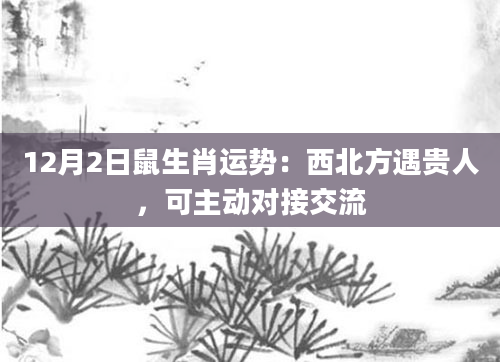 12月2日鼠生肖运势：西北方遇贵人，可主动对接交流
