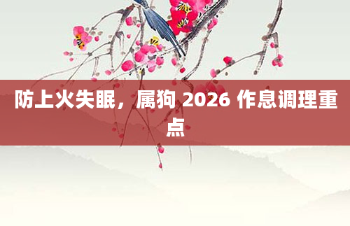 防上火失眠，属狗 2026 作息调理重点
