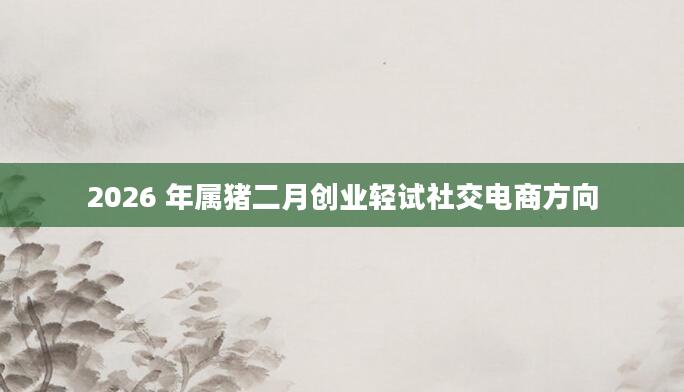 2026 年属猪二月创业轻试社交电商方向