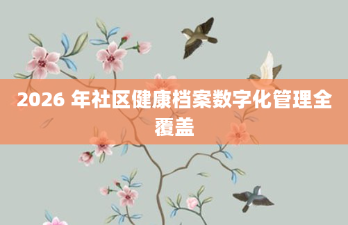 2026 年社区健康档案数字化管理全覆盖