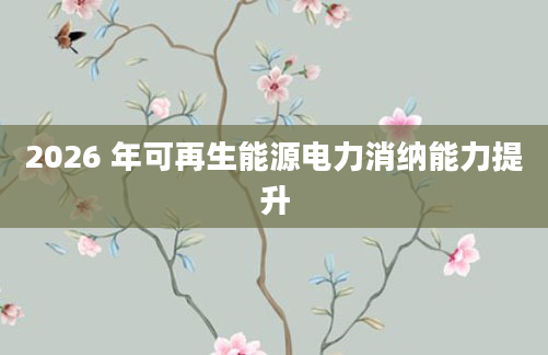 2026 年可再生能源电力消纳能力提升