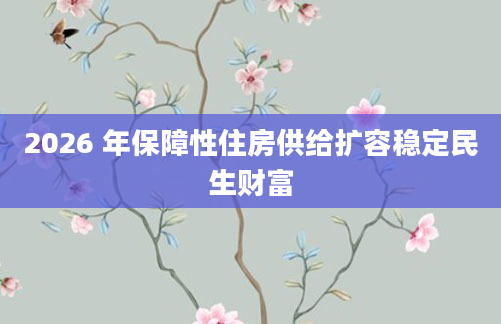 2026 年保障性住房供给扩容稳定民生财富