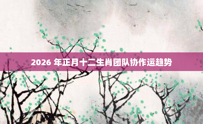 2026 年正月十二生肖团队协作运趋势