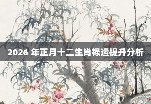 2026 年正月十二生肖禄运提升分析