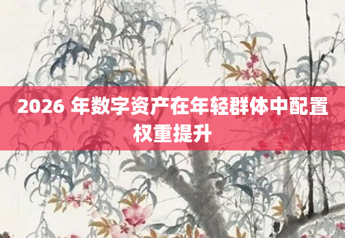 2026 年数字资产在年轻群体中配置权重提升