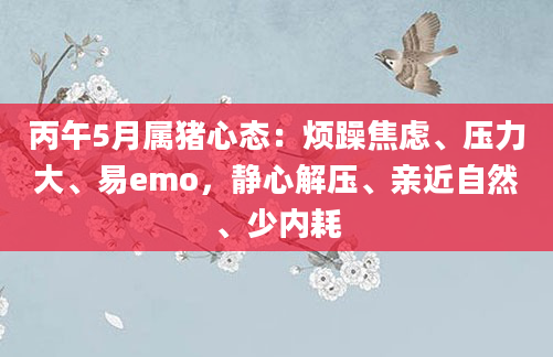 丙午5月属猪心态：烦躁焦虑、压力大、易emo，静心解压、亲近自然、少内耗