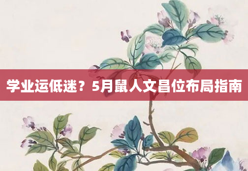 学业运低迷？5月鼠人文昌位布局指南