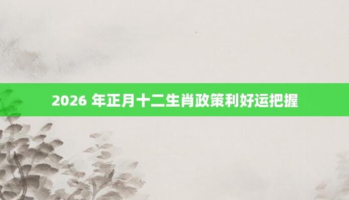 2026 年正月十二生肖政策利好运把握