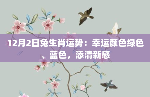 12月2日兔生肖运势：幸运颜色绿色、蓝色，添清新感