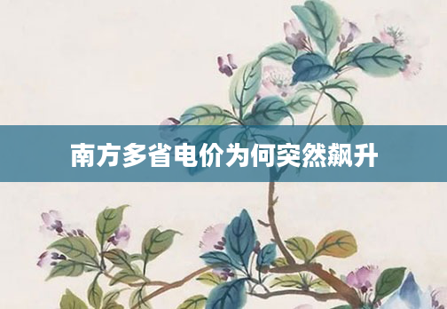 南方多省电价为何突然飙升