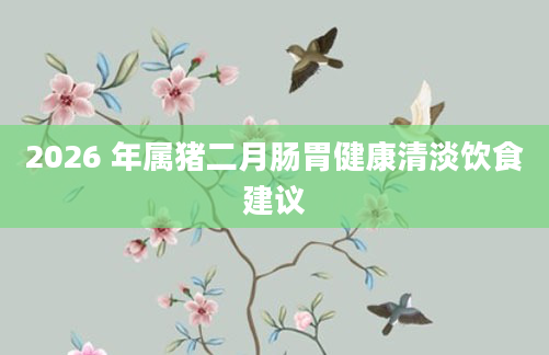 2026 年属猪二月肠胃健康清淡饮食建议