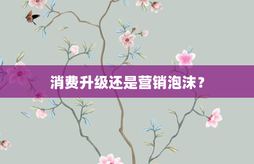 消费升级还是营销泡沫？