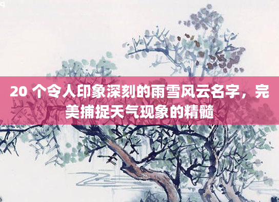 20 个令人印象深刻的雨雪风云名字，完美捕捉天气现象的精髓