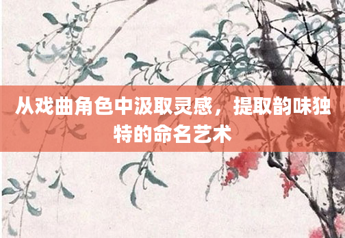 从戏曲角色中汲取灵感，提取韵味独特的命名艺术