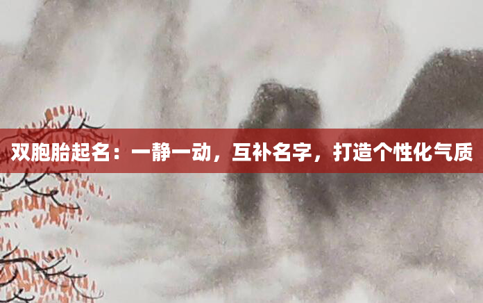 双胞胎起名：一静一动，互补名字，打造个性化气质