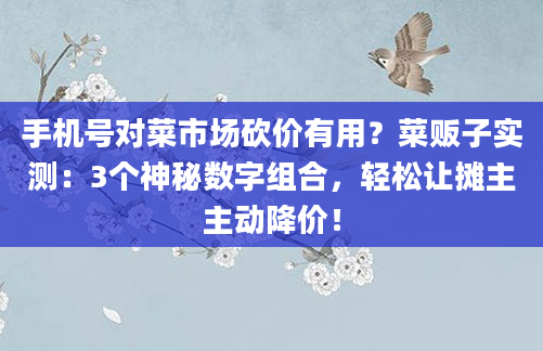 手机号对菜市场砍价有用？菜贩子实测：3个神秘数字组合，轻松让摊主主动降价！
