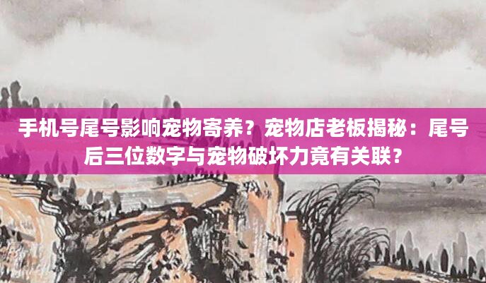 手机号尾号影响宠物寄养？宠物店老板揭秘：尾号后三位数字与宠物破坏力竟有关联？