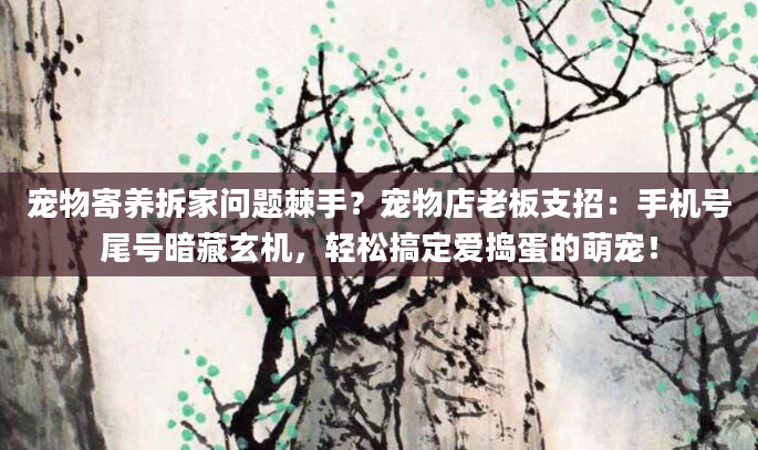 宠物寄养拆家问题棘手？宠物店老板支招：手机号尾号暗藏玄机，轻松搞定爱捣蛋的萌宠！