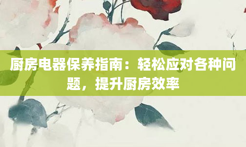 厨房电器保养指南：轻松应对各种问题，提升厨房效率