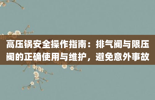 高压锅安全操作指南：排气阀与限压阀的正确使用与维护，避免意外事故