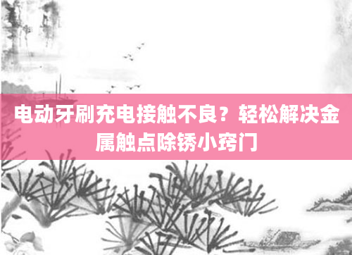 电动牙刷充电接触不良？轻松解决金属触点除锈小窍门