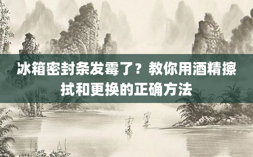冰箱密封条发霉了？教你用酒精擦拭和更换的正确方法