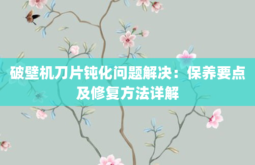 破壁机刀片钝化问题解决：保养要点及修复方法详解