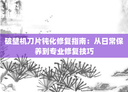 破壁机刀片钝化修复指南：从日常保养到专业修复技巧