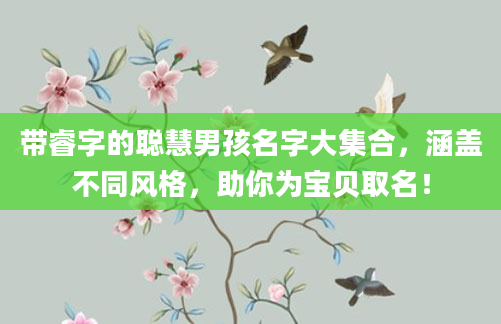 带睿字的聪慧男孩名字大集合，涵盖不同风格，助你为宝贝取名！